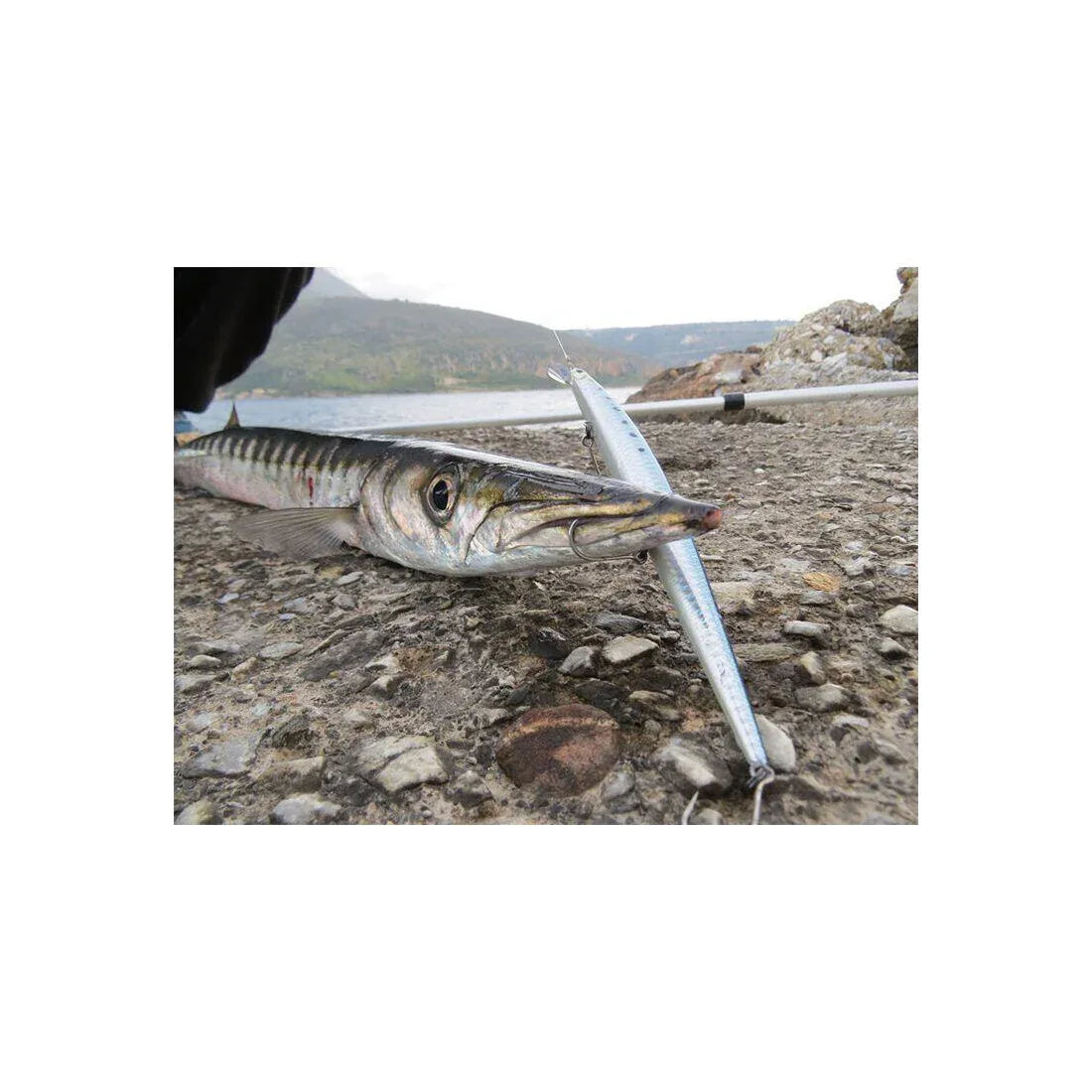 ΤΕΧΝΗΤΑ DUO TIDE MINNOW SLIM 175 27G 17,5CM - Darivianakis fishing Store