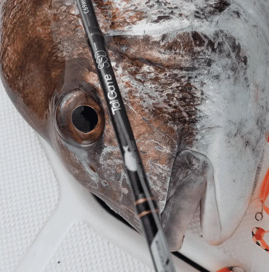 TAILWALK TAI GAME SSD TAI RUBBER C69ML PE0.8 180G L1.59M - Darivianakis fishing Store