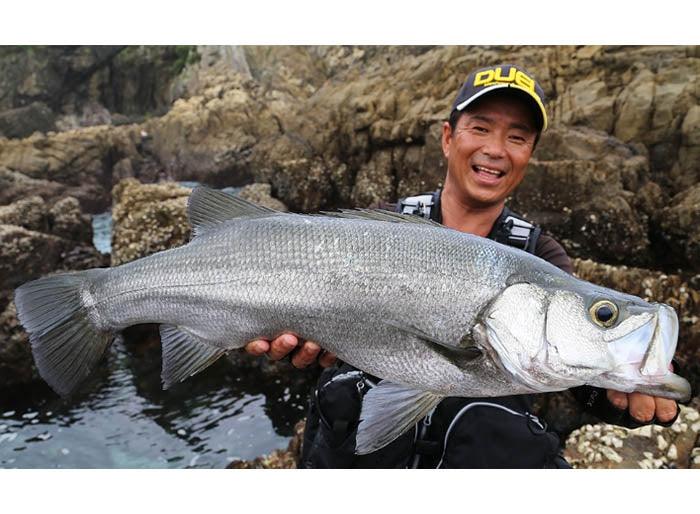 ΝΗΜΑ DUEL SUPER X-WIRE X8 MULTICOLOR - Darivianakis fishing Store