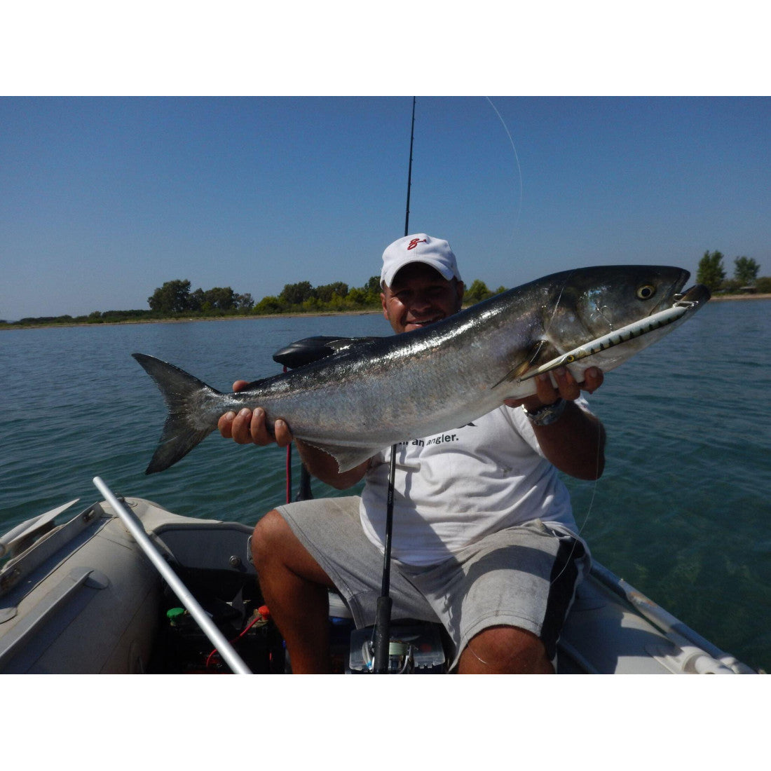 ΤΕΧΝΗΤΟ JACK FIN STYLO 210 30GR