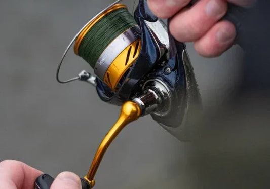 DAIWA REVROS 23LT LT3000-CXH - Darivianakis fishing Store