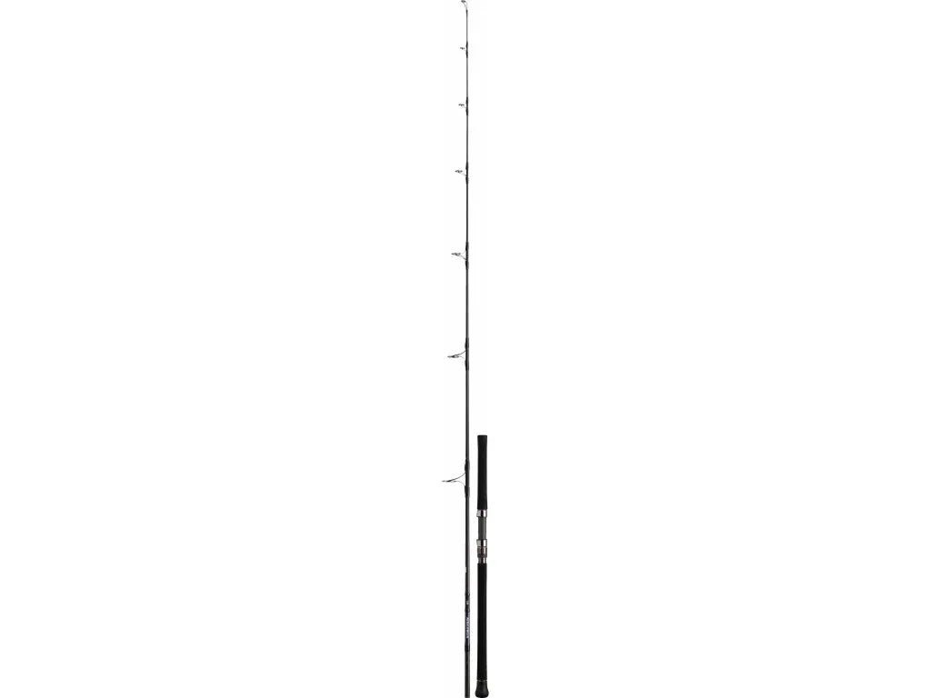 DAIWA SALTIGA CASTING 81 5 PE-5 100G L2.46M - Darivianakis fishing Store
