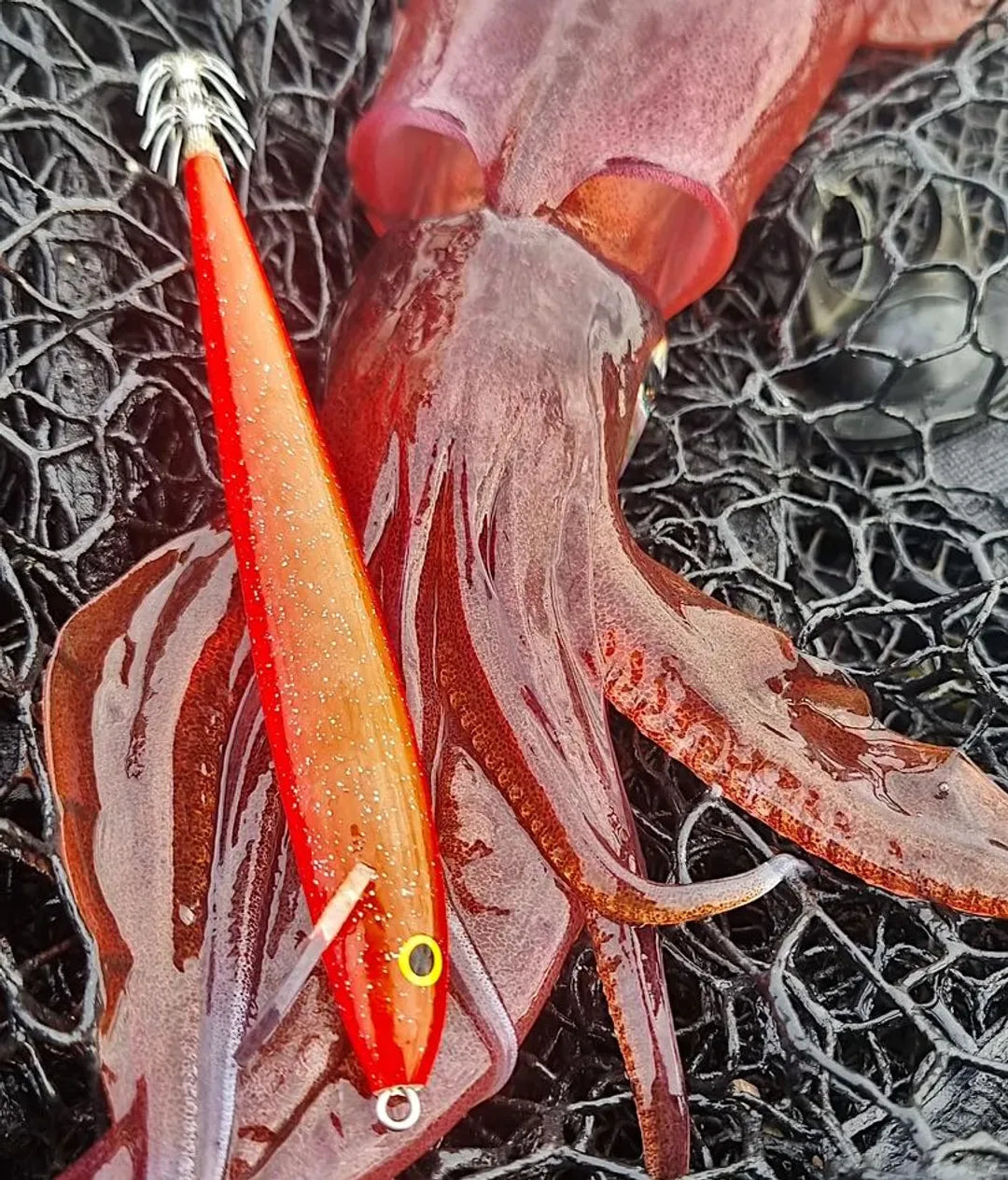 ΚΑΛΑΜΑΡΙΕΡΕΣ RAPALA SQ-11 HT (COUNTDOWN® SQUID) - Darivianakis fishing Store