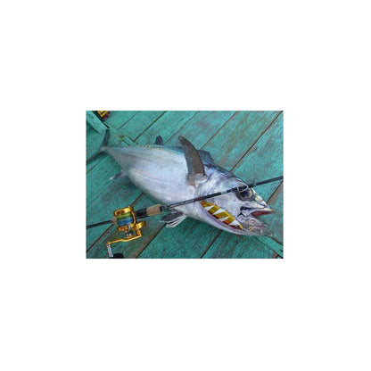 MAXEL RISKY PLAYER SLOW PITCH JIGGING 60-3 PE1.0-2.5 100-250G L1.80M - Darivianakis fishing Store